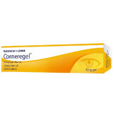 Gel oftalmico Corneregel 50 mg/g, 10 g