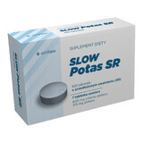 Slow Potassium SR, 100 extended-release tablets