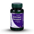 DVR-Stem Normoimun, 60 cápsulas, Dvr Pharm