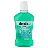 Dentica, collutorio, Extra Fresh, 500 ml