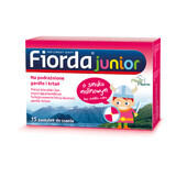 Fiorda Junior, gusto lampone, 15 pastiglie