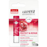 Balsamo labbra Protect & Repair, 4,5 g, Lavera