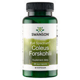 Swanson Spettro completo di Coleus Forskohlii, ortica indiana, 60 capsule