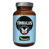 Hanoju Tribulus, macis, 90 compresse