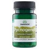 Swanson, Picnogenolo 50 mg, estratto di corteccia di pino marittimo francese, 50 capsule