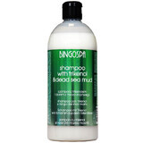 Bingospa, shampoo antiforfora con Trikenol, 500 ml