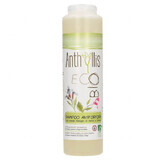 Anthyllis EcoBio, shampoo antiforfora per lavaggi frequenti con estratto di salvia e ortica, 250 ml