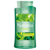 Joanna Naturia, shampoo per capelli con ortica e tè verde, 500 ml