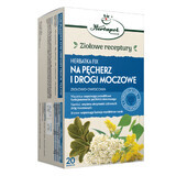 Herbapol Na Pęcherz i Drogi Urczowe (Per la vescica e le vie urinarie), infuso di erbe e frutta, 2 g x 20 bustine