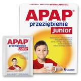 Apap Przeziębienie Junior 300 mg + 20 mg + 5 mg, polvere per soluzione orale, 6 bustine