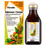 Floradix Immunità ed energia, 250 ml