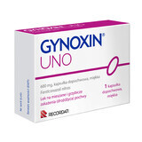 Gynoxin Uno 600 mg, 1 soft vaginal capsule