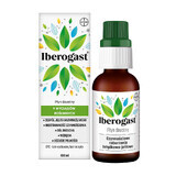 Iberogast, liquido orale, 100 ml