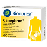 Canephron 18 mg + 18 mg + 18 mg, 60 compresse irritate