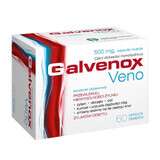 Galvenox Veno 500 mg, 60 cápsulas duras