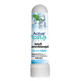 ActivePlast Aroma, bastoncino per aromaterapia, menta ghiacciata, 1 pezzo