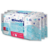 Kindii Acqua pura 99%, salviette umidificate per neonati e bambini, 3 x 60 pezzi