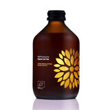 Bevanda Kombucha biologica con Yerba Mate e caffeina, 330 ml, Vigo