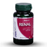 Renal, 60 cápsulas, Dvr Pharm