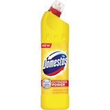 Domestos Candeggina Disinfettante Agrumi, 750 ml