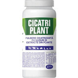 Cicatri Polvere curativa vegetale, 100 g, Pasteur