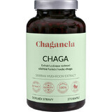 Chaganela Siberian Chaga Extract 270 capsule