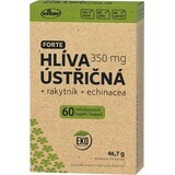 Vitar Fungo d'ostrica + Olivello spinoso + Echinacea Forte 60 capsule