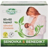 Organika Fieno greco e Benedetto, 2 x 60 capsule