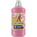 Coccolino Balsamo per bucato al caprifoglio 1,27 l