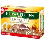 Terezia Funghi ostrica + Reishi con olio di olivello spinoso Forte 60 capsule