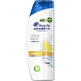 Head & Shoulders Shampoo agli agrumi per capelli grassi 400 ml