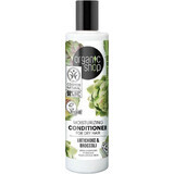 Organic Shop Balsamo idratante per capelli secchi Carciofo e Broccoli 280 ml