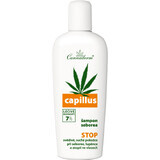 Cannaderm Capnaderm Capillus Seborrhöe Shampoo 150 ml