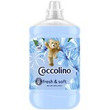 Coccolino Blue splash balsamo per bucato 1,7 l