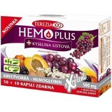 Terezia Hemoplus + Acido folico 60 capsule