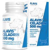 Alavis CELADRIN per cani e gatti 60 capsule