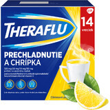 TheraFlu bevanda calda per raffreddore e influenza 14 bustine