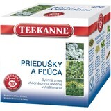 Teekanne Tisana per bronchi e polmoni 10 x 2 g