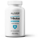 Aliver Nutraceutics Tribulus Terrestris Extract 90% 120 capsule