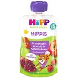 HiPP Organic HiPP BIO Hippis 100% frutta Mela-Malina-Grano Mela-Acerola 100 g