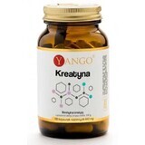 Creatina (creatina monoidrato) 100 capsule Yango