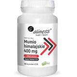 Himalaya mumie 400 mg 90 capsule vegeta Aliness