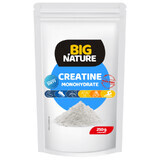 Creatina monoidrato 250 g Big Nature