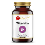 Vitamina B6 (piridossina HCL) 90 capsule Yango