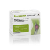 Glucosamina-Intercell 120 capsule Intercell