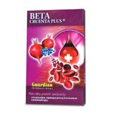 Gefriergetrocknete und mizellisierte Rote Bete mit Aronia - Beta Cruenta Plus 500g - Karton, Guardian International