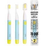 Vitammy Buzz Spazzolino sonico con 28.000 micromovimenti, 2 programmi di pulizia, Menta/Citron 1×1 pz, spazzolino elettrico