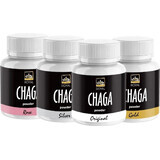 Royal Chaga Estratto di polvere di Chaga siberiano 1×90 g, integratore alimentare