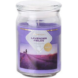 Emocio Glass bottle 93x142 mm with glass lid Lavender Fields Scented Candle Lavender Fields 1×1 pc, size 93 x 142 mm