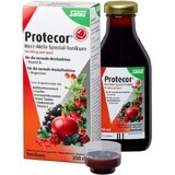 SALUS Protecor Tonico attivo per il cuore 1x250 ml